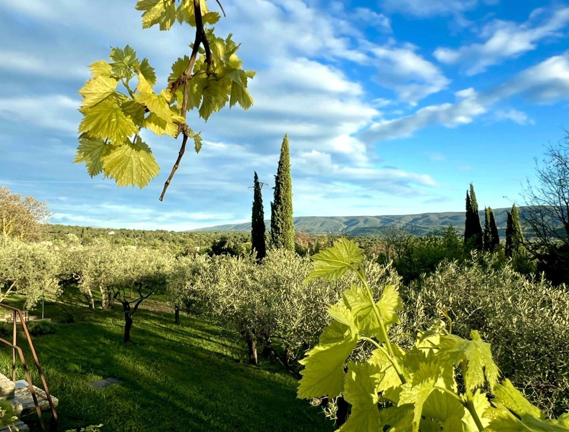 Provence Km28 Bed and Breakfast Gordes Eksteriør billede
