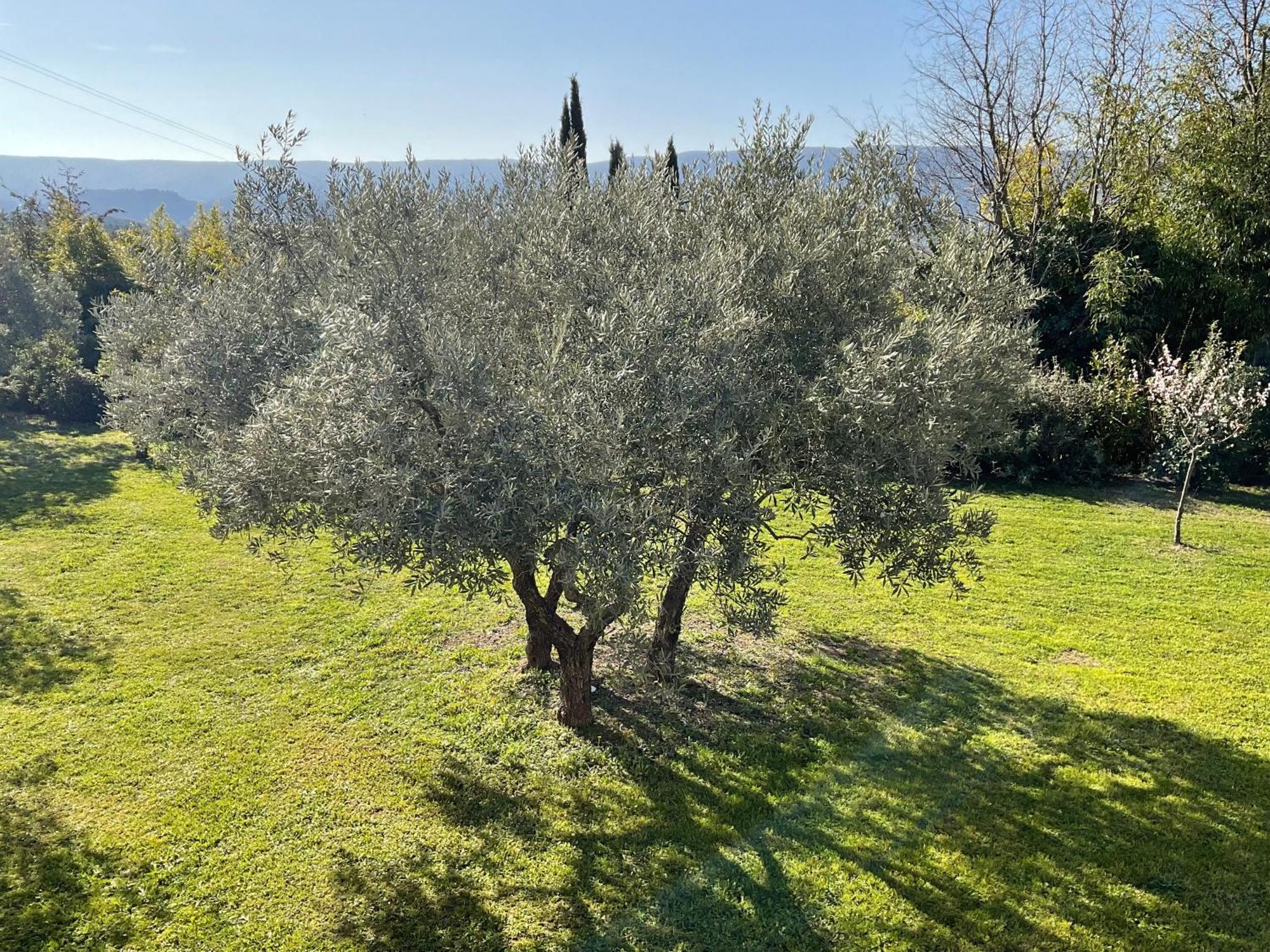 Provence Km28 Bed and Breakfast Gordes Eksteriør billede